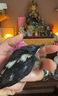 四喜鳥飼料八哥營養(yǎng)鳥食亮羽壯膘提性促鳴叫畫眉繡眼玉鳥混合鳥糧 500g 1袋 【提性壯膘】 曬單實拍圖
