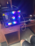 技嘉 酷睿i5 13400F臺(tái)式組裝電腦主機(jī)RTX4060Ti/5060Ti游戲高端電競(jìng)獨(dú)顯直播設(shè)計(jì)渲染整機(jī) 配置二：14代酷睿i5丨RTX5060 曬單實(shí)拍圖