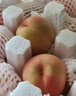 京鮮生  國產(chǎn)脆蜜桃 凈重4.5斤 單果150g+ 生鮮水果 源頭直發(fā)  曬單實(shí)拍圖