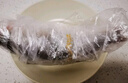 鮮活沖浪河鱸魚(yú)400-500g/條 曬單實(shí)拍圖