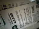 北蔬 薄荷種子留蘭香可食用驅(qū)蚊四季種陽臺盆栽 留蘭香薄荷籽約3000粒 曬單實拍圖