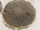 伯納天純鴨肉梨凍干三拼全價(jià)狗糧10kg/20斤 曬單實(shí)拍圖
