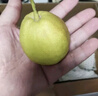 京鮮生 新疆庫爾勒香梨 凈重5斤 單果100g+ 源頭直發(fā) 生鮮水果 曬單實(shí)拍圖