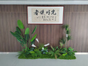 臨雅仿真綠植組合造景高端輕奢樓梯下商場(chǎng)櫥窗裝飾玄關(guān)假植物仿生假樹(shù) 【專(zhuān)業(yè)版】天堂鳥(niǎo)3米造景 曬單實(shí)拍圖