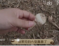 得力掃碼槍 無(wú)線(xiàn)掃碼掃描槍 藥品追溯條碼掃描器二維碼超市收銀醫保支付 快遞物流查詢(xún)備件倉庫14952W 曬單實(shí)拍圖