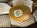 佳沛（zespri）綠奇異果 優(yōu)選大果12粒單果約113-135g  水果禮盒 獼猴桃 曬單實(shí)拍圖