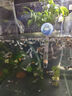 YEE魚(yú)缸氣動(dòng)水妖精內置三合一增氧水循環(huán)魚(yú)缸過(guò)濾器反氣舉小號 曬單實(shí)拍圖