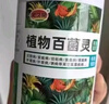 植物多菌靈殺菌劑花卉專用除菌花病康噴劑白粉病炭疽病殺蟲劑 單瓶【500ml】帶噴頭 曬單實(shí)拍圖