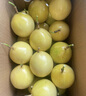 顧果鮮廣西欽蜜9號(hào)黃金百香果香甜多汁酸甜可口果香產(chǎn)地直采新鮮水果 5斤 優(yōu)選裝【約7-8個(gè)/斤】 曬單實(shí)拍圖