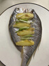 森農(nóng)樂舟山大黃魚禮盒深海黃花魚生鮮鮮活冷凍冰鮮水產(chǎn)海鮮年貨禮包商用 2條無禮盒【每條凈重1.4斤】 曬單實拍圖