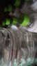 if100%椰子水350ml便攜泰國進(jìn)口椰子汁果汁飲料椰青水 if椰子水350ml*6瓶 曬單實(shí)拍圖