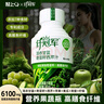 輕上羽衣甘藍(lán)奇亞籽纖維飲料代餐高膳食纖西芹果蔬汁245ml*10瓶  曬單實(shí)拍圖