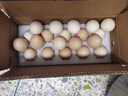 無(wú)抗鮮雞蛋 谷物喂養(yǎng)鮮雞蛋 單枚50g-60g 早餐食材 蛋香味十足 20枚裝 曬單實(shí)拍圖