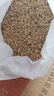 飼用燕麥草養(yǎng)殖牧草種子牛羊魚飼料草籽高產(chǎn)四季常青草種籽批發(fā) 優(yōu)質(zhì)燕麥草【新種包出芽】 1斤裝正品【養(yǎng)殖牧草首選】 曬單實(shí)拍圖