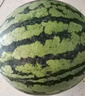 【產(chǎn)地直采】麒麟奶油西瓜 約5.5kg 曬單實(shí)拍圖