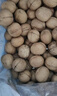 新邊界（new boundaries）薄皮核桃1500g 新疆特產(chǎn)阿克蘇核桃堅果炒貨手剝原味量販 曬單實(shí)拍圖