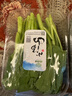 小湯山 韭菜 約250g  新鮮蔬菜當天采摘北京農場(chǎng)順豐到家 曬單實(shí)拍圖