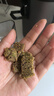 惠人（HUROM）原汁機有網(wǎng)多功能大口徑家用低速榨汁機果渣汁分離韓國進(jìn)口冰淇淋機家用  H70ST-BIS02TG 曬單實(shí)拍圖