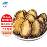 靈略鮮凍大鮑魚凈重500g 4-5粒鮑魚盒裝火鍋燒烤  貝類海鮮 生鮮 曬單實(shí)拍圖