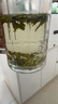 福茗源 四大綠茶500g 明前2025新茶碧螺春龍井毛尖云霧茶葉禮盒中秋禮品 曬單實(shí)拍圖