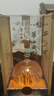 西鳳酒 華山論劍20年 52度 500ml 單瓶裝 鳳香型白酒 中秋節(jié)送禮 曬單實(shí)拍圖
