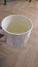 彩致（CAIZHI）馬克杯家用陶瓷水杯學(xué)生泡茶杯辦公室咖啡杯 奶油綠CZ6788 曬單實(shí)拍圖