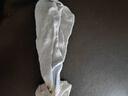 貝肽斯嬰兒襪子夏季薄款新生兒透氣網(wǎng)眼寶寶中筒襪男女兒童襪子 曬單實拍圖