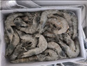 鮮京采 原裝進(jìn)口厄瓜多爾白蝦 凈重3.3斤 大號30-40規格 50-66只/盒 曬單實(shí)拍圖