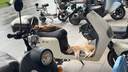 網(wǎng)易嚴選車(chē)載香薰汽車(chē)香薰車(chē)用香氛2瓶 車(chē)內除異味甲醛擺件禮物周翊然推薦 曬單實(shí)拍圖