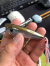 海豚路亞挖土機浮水米諾假餌長(cháng)舌板搖滾小胖子微物鱸魚(yú)翹嘴軍魚(yú)路亞餌 馬口色 8克 曬單實(shí)拍圖