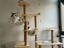 皇家派特大型實(shí)木貓爬架貓窩貓樹(shù)一體四季通用貓架子貓跳臺貓抓板貓咪用品 S52實(shí)木板材+爬柱【50太空艙】 曬單實(shí)拍圖