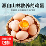 京喜加 鮮雞蛋 土雞蛋  五谷喂養(yǎng) 山林自養(yǎng)雞蛋溏心蛋早餐京東包郵40g 4枚40g左右 曬單實拍圖