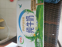 伊利純牛奶整箱 250ml*24盒 優(yōu)質(zhì)乳蛋白 禮盒裝 新鮮日期 曬單實(shí)拍圖