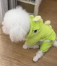 阿莫爾狗狗衣服搞怪恐龍變身裝秋冬保暖貓咪可愛(ài)泰迪比熊博美寵物防掉毛 呆萌恐龍 XL【建議10-14斤】 曬單實(shí)拍圖