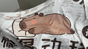 柚琳創(chuàng)意辦公室午睡毯搞怪加厚空調午休毛毯蓋腿披肩小毯子沙發(fā)空調毯 懶的動毯（100*150cm） 曬單實拍圖