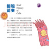 2022中國好書(shū)】細胞簡(jiǎn)史  程林著(zhù) 細胞基礎知識 細胞治療 細胞生物學(xué)發(fā)展脈絡(luò ) 細胞簡(jiǎn)史科普讀物 曬單實(shí)拍圖
