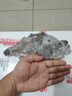 舟山梭子蟹鮮活特大野生大螃蟹新鮮冷凍海鮮水產(chǎn)海蟹飛蟹白蟹順豐 7-9兩/只【5斤凈重 特大肥壯】 曬單實(shí)拍圖
