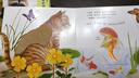 小手摸摸大自然觸摸書嬰兒觸摸動物亮麗精美觸摸書幼兒早教繪本小兔比利寶寶1歲半幼兒啟蒙不爛觸感刺激認知讀物0-1-2-3歲洞洞翻翻硬殼仿真書籍 【購買全套】小手摸摸大自然觸摸書全7冊 曬單實拍圖