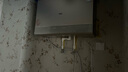 萬(wàn)家樂(lè)【活水超導(dǎo)小體積熱水器W9】扁桶電熱水器即熱一級(jí)能效新鮮水無(wú)內(nèi)膽免清洗4300W國(guó)家補(bǔ)貼以舊換新 曬單實(shí)拍圖