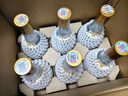 汾酒 黃蓋玻汾 清香型白酒 53度 475mL*12瓶 （非原箱6瓶*2） 曬單實(shí)拍圖