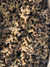 花農氏拐棗生吃拐棗新鮮野生萬(wàn)壽果拐棗拐角可泡酒泡茶養生雞爪梨 5斤  新鮮生吃去枝拐棗-【凈果】 曬單實(shí)拍圖