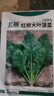 北蔬 大葉菠菜種子種苗紅根秋四季蔬菜種籽 卓脆紅根大葉菠菜種子10g 曬單實(shí)拍圖