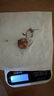 【頭茬-芋頭】正宗云南牛奶小芋頭軟糯現挖新鮮香甜寶寶輔食 普通裝單個(gè)15g+ 4.5斤帶箱 凈重4斤 曬單實(shí)拍圖