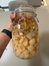 喜碧（Scybe）密封罐 泡酒容器泡菜壇子套裝玻璃密封罐玻璃瓶潘多拉1800ml 2只 曬單實拍圖