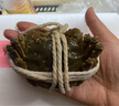 【活蟹】乾澄大閘蟹現(xiàn)貨 全母2.3-2.6兩 8只 鮮活螃蟹去繩足重海鮮中秋禮盒裝源頭直發(fā) 曬單實(shí)拍圖