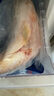 微山湖野生鯉魚四鼻鯉魚新鮮活魚現(xiàn)殺凈膛漁民捕撈 微山湖野生鯉魚 3斤/條(宰殺好15-20%損耗) 曬單實(shí)拍圖