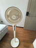 美的（Midea）空氣循環(huán)扇 電風(fēng)扇家用立式變頻輕音臥室落地扇語音聲控抗菌空氣凈化扇一級能效小風(fēng)扇 GDI24RY  曬單實拍圖