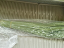辰實【現(xiàn)摘發(fā)順豐】粽葉 蘆葦葉新鮮 粽子葉包粽子的葉子 100片 約寬4-6cm+粽繩丨推薦 曬單實拍圖