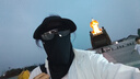 特步（XTEP）防曬面罩男女戶外騎行冰絲脖套面巾圍魔術(shù)頭巾防風(fēng)塵口罩釣魚裝備 曬單實(shí)拍圖