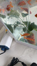 森森增氧泵家用充氧泵魚(yú)缸增氧機超靜音小型打氧機養魚(yú)魚(yú)缸氧氣泵220V 【二代更靜音】3W單孔氣石套餐 曬單實(shí)拍圖